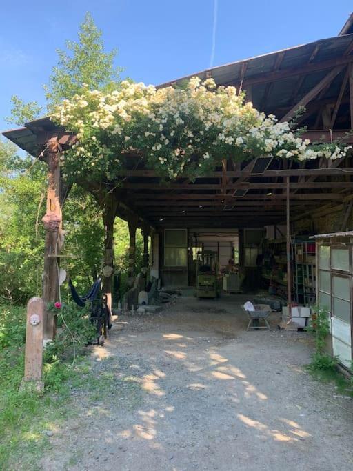 Appartement Kleine Kunstremise Mit Holzofen Burg Freienfels